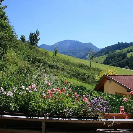 Haus Bergquell 아파트 뮌스테르탈
